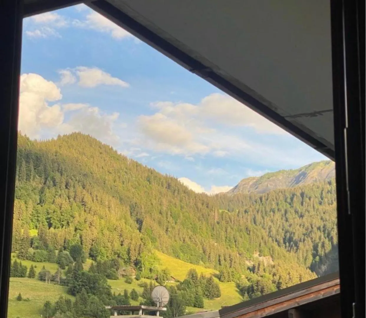 Le Clos d'Arly Praz-sur-Arly Appartement